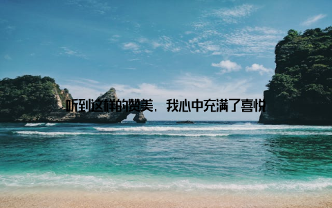 听到这样的赞美, 我心中充满了喜悦