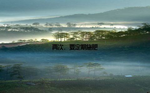 再次, 要定期施肥