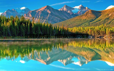 定期喷洒农药, 预防病虫害的发生