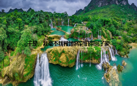 于是, 我毫不犹豫地将它们带回了家