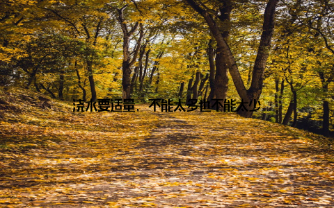 浇水要适量, 不能太多也不能太少