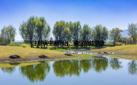 注意病虫害防治, 确保植株健康