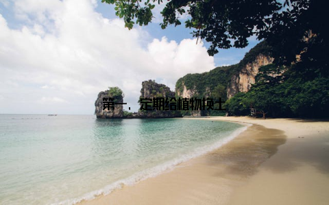 第一, 定期给植物换土