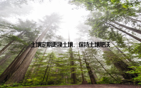 土壤定期更换土壤, 保持土壤肥沃