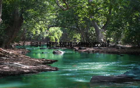 同时, 修剪还能提高植株的观赏性