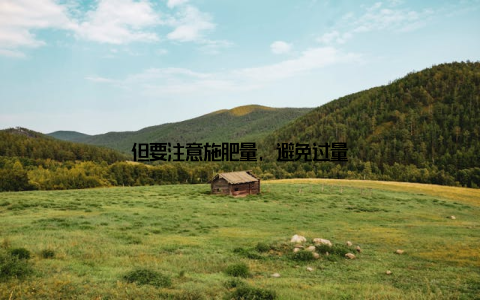 但要注意施肥量, 避免过量