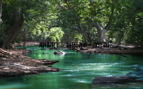 一般情况下, 每周浇水一次即可