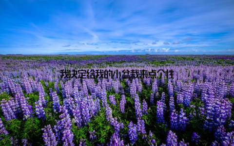 我决定给我的小盆栽来点个性