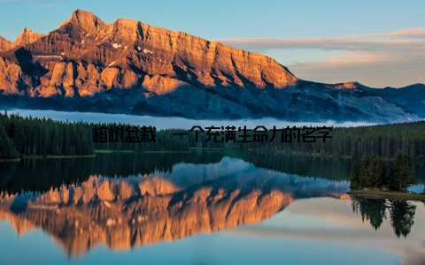 榕树盆栽, 一个充满生命力的名字