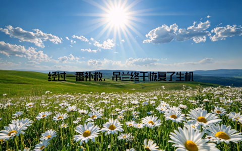 经过一番补救, 吊兰终于恢复了生机