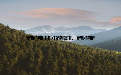 定期施肥根据植物需求, 定期施肥