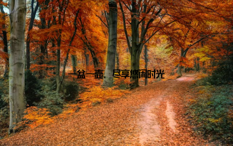 一盆一壶, 尽享悠闲时光