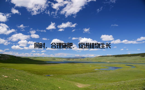 同时, 合理施肥, 促进植物生长