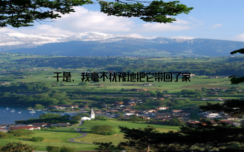 于是, 我毫不犹豫地把它带回了家