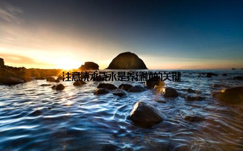 注意浇水浇水是养绿植的关键