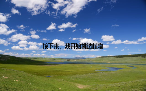 接下来, 我开始挑选植物