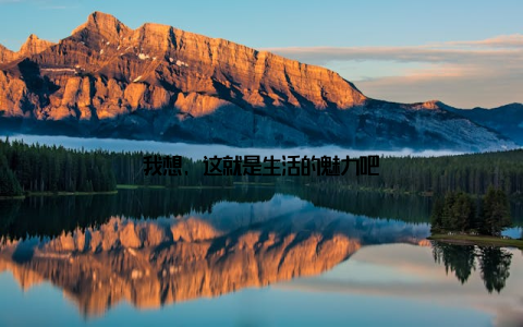 我想, 这就是生活的魅力吧