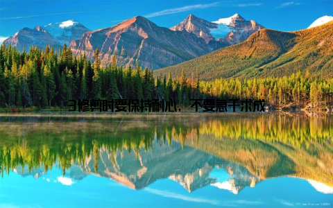 3修剪时要保持耐心, 不要急于求成