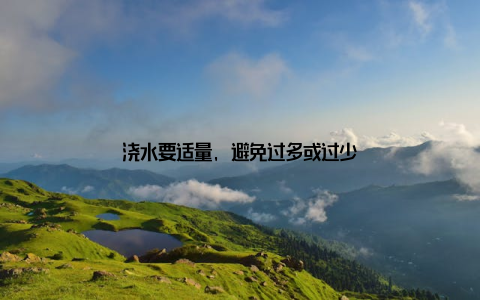 浇水要适量, 避免过多或过少