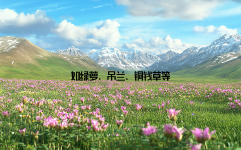 如绿萝、吊兰、铜钱草等