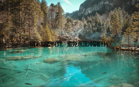 浇水时要均匀, 避免水流冲刷叶片