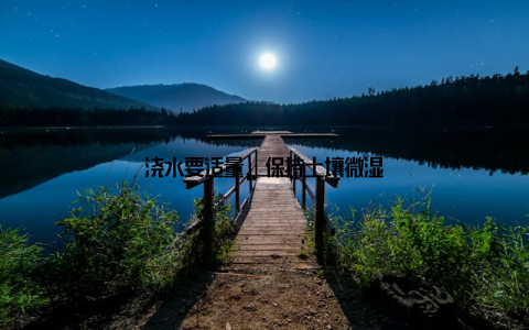 浇水要适量, 保持土壤微湿