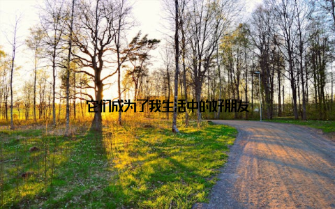 它们成为了我生活中的好朋友