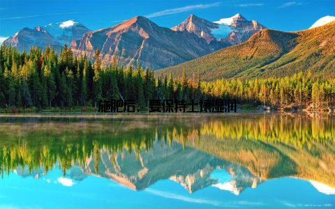 施肥后, 要保持土壤湿润