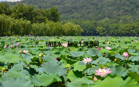 – 浇透水, 确保土壤湿润