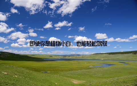 即使你是植物小白, 也能轻松驾驭