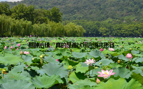 那种心情, 真的是难以用言语来形容