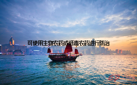 可使用生物农药或低毒农药进行防治