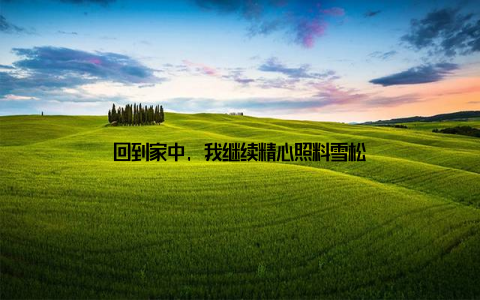 回到家中, 我继续精心照料雪松