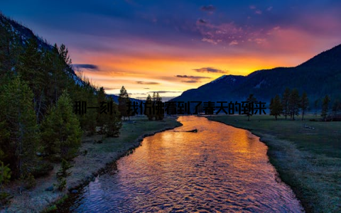 那一刻, 我仿佛看到了春天的到来