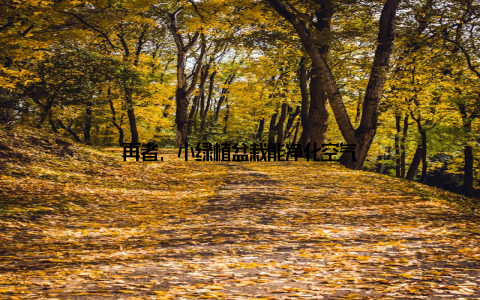 再者, 小绿植盆栽能净化空气