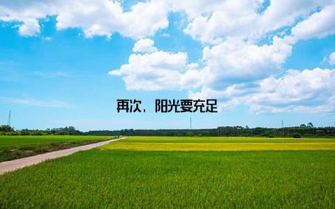 再次, 阳光要充足