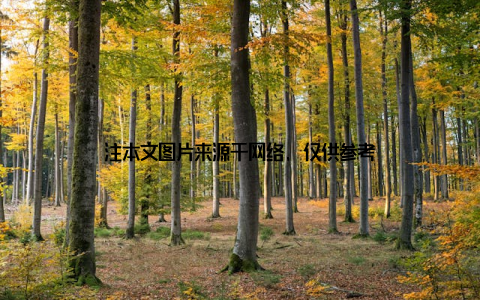 注本文图片来源于网络, 仅供参考