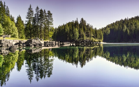 一般每月施一次复合肥即可