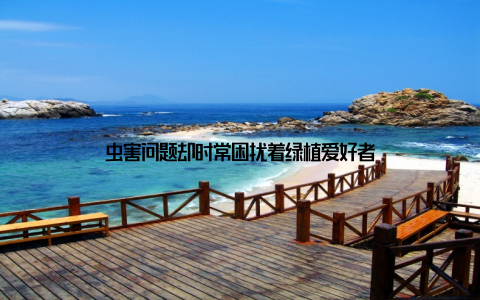 虫害问题却时常困扰着绿植爱好者