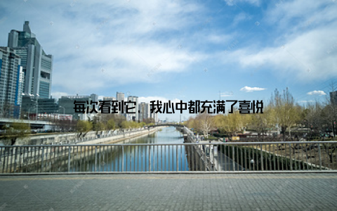 每次看到它, 我心中都充满了喜悦