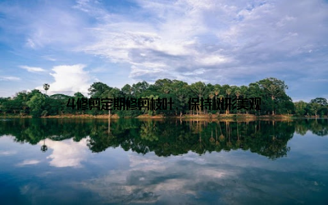 4修剪定期修剪枝叶, 保持树形美观