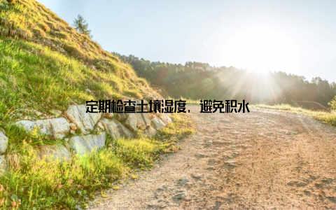 定期检查土壤湿度, 避免积水