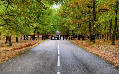 接下来, 修剪也是月季花养护的关键