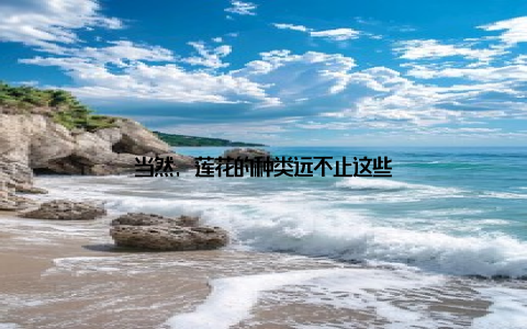 当然, 莲花的种类远不止这些