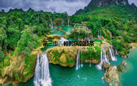 第三步, 修剪病弱枝条