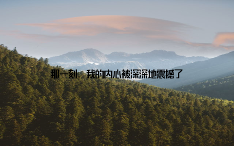 那一刻, 我的内心被深深地震撼了