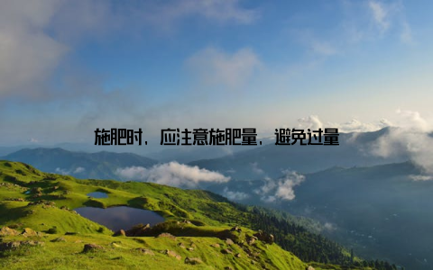 施肥时, 应注意施肥量, 避免过量